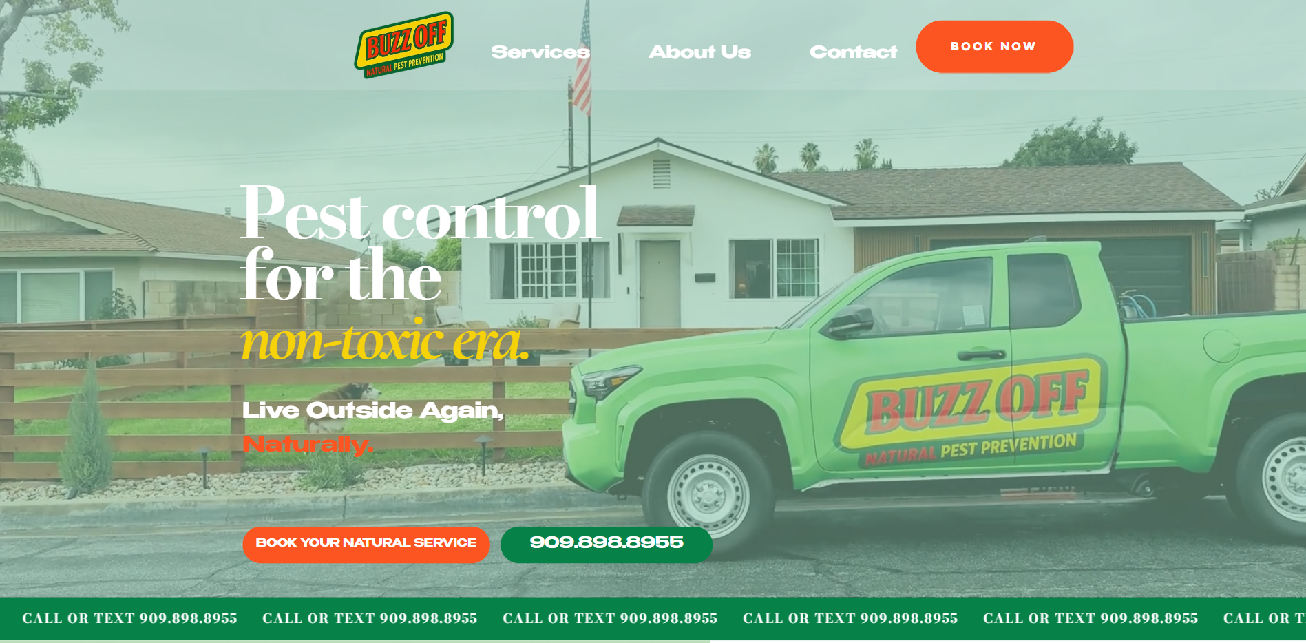 Old Spray Buzz Off homepage